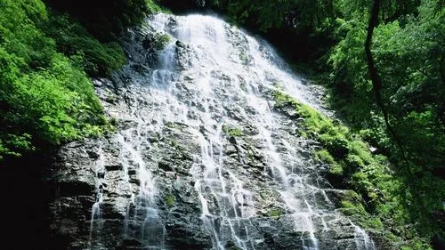 高效高精度智能化